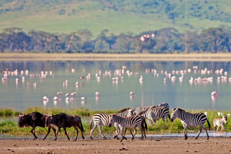 20 Unforgettable African Adventures