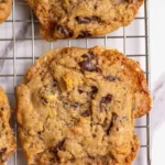 Sourdough s'mores cookies with chocolate chips and caramelized marshmallows