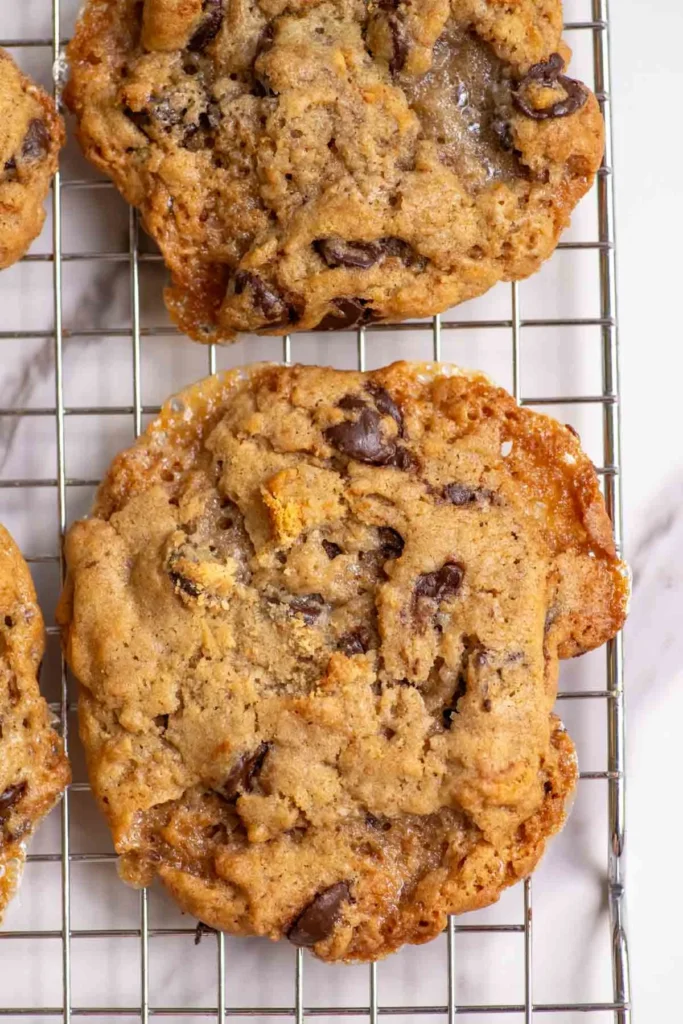 Sourdough s'mores cookies with chocolate chips and caramelized marshmallows