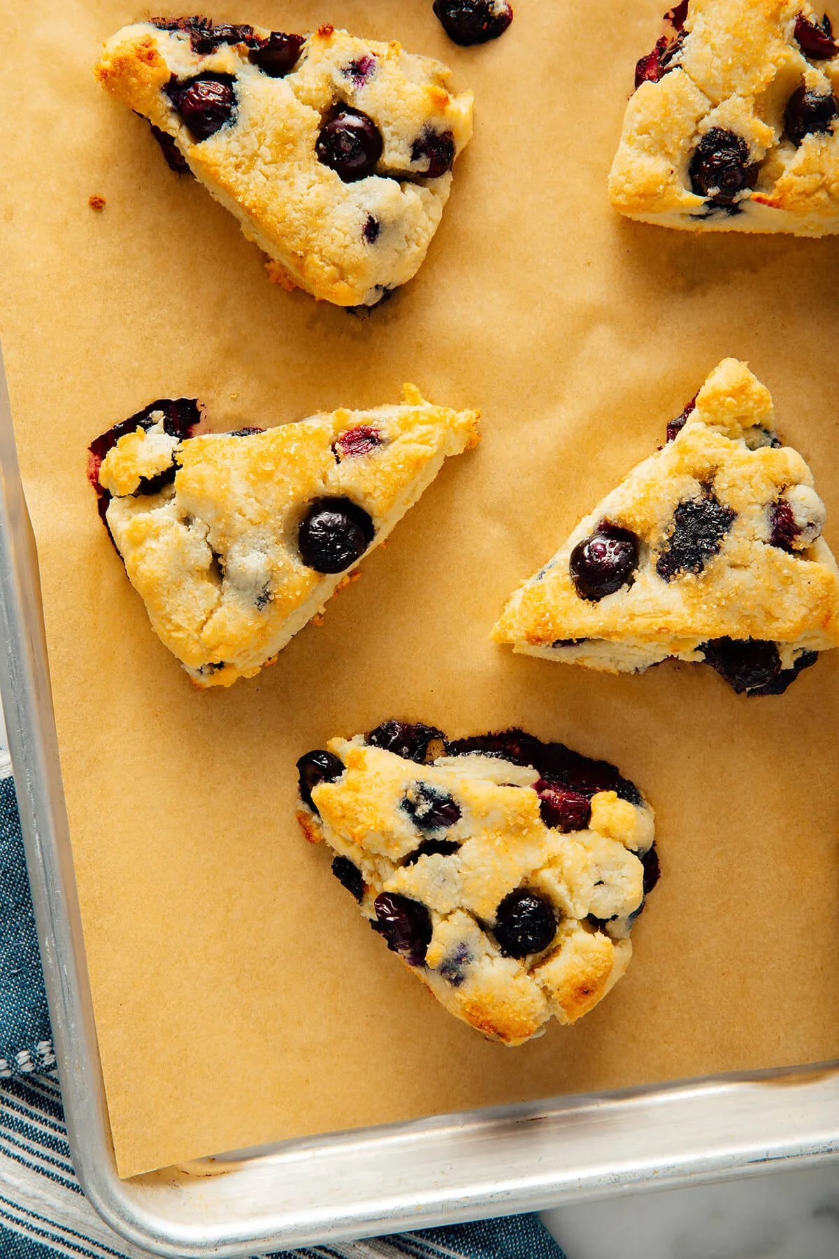 Tray of golden, freshly baked blueberry scones