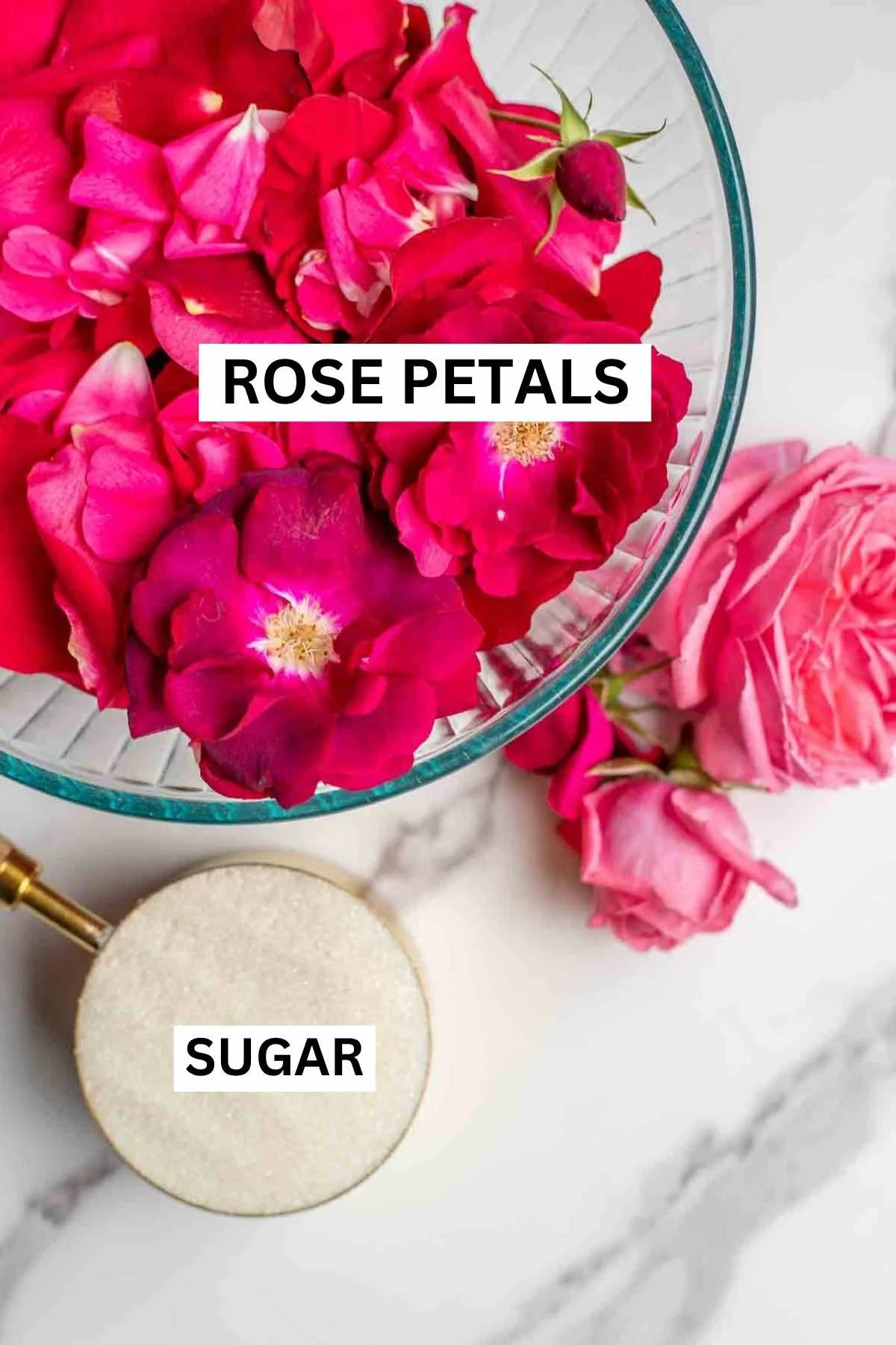 Roses and a bowl of sugar, labeled ingredients for a recipe