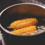 Ears of corn boiling in a pot on the stove