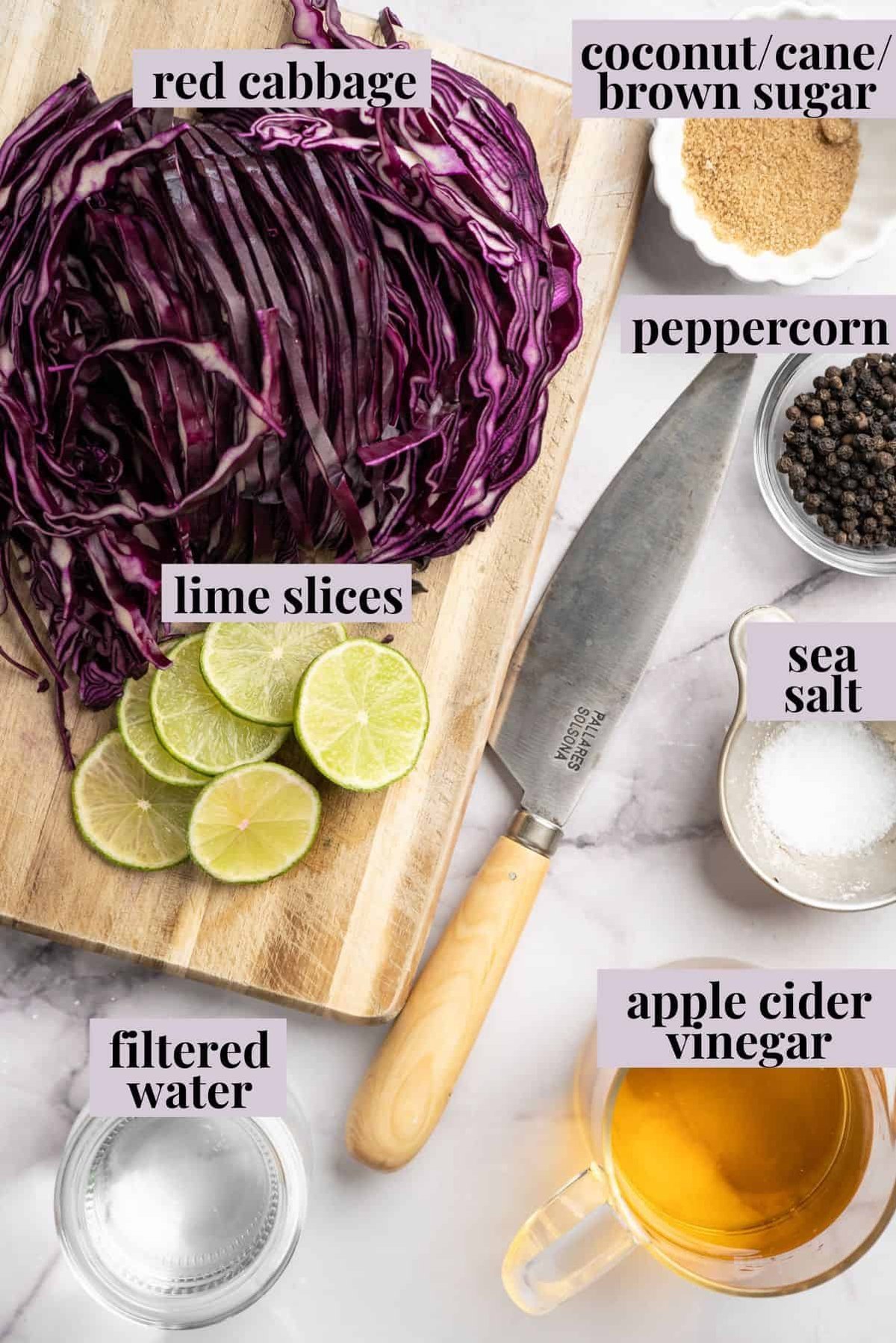Labeled ingredients for quick pickled cabbage on a counter